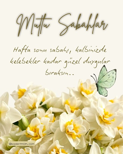 Beyaz nergis çiçekleri ve kelebekli mutlu sabahlar görseli