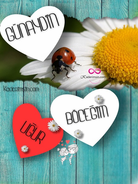 Sabah güneşi altında mutluluk dileği içeren kart