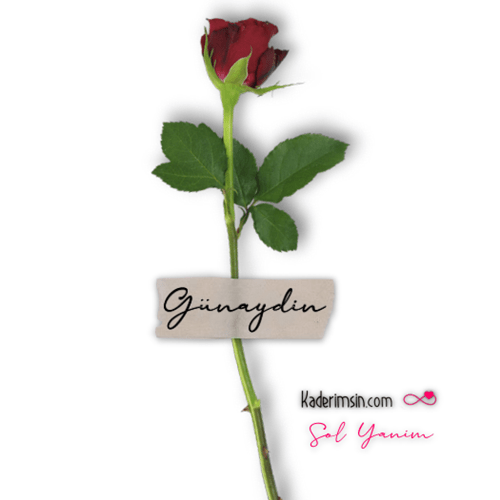 Müzik notaları ve kahve konseptiyle şık Günaydın tebrik görseli